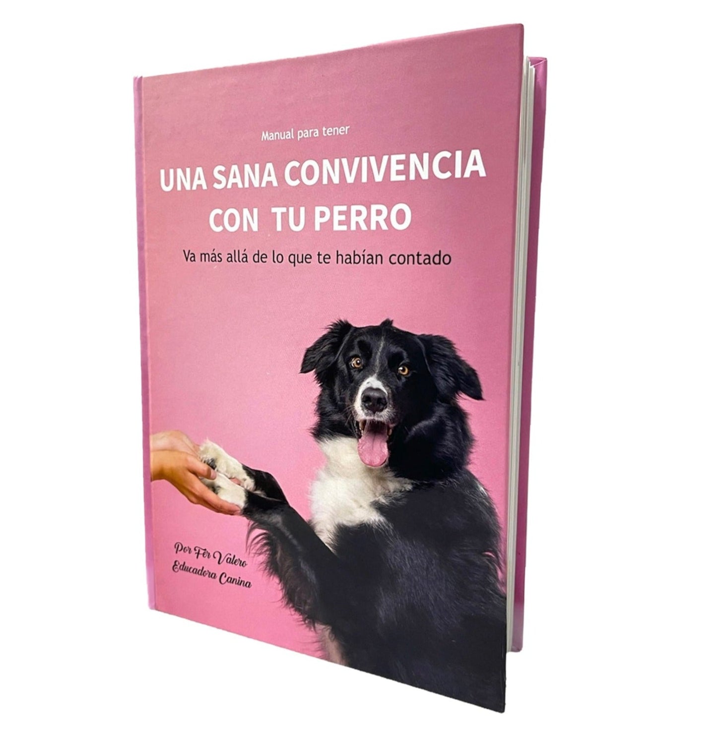 Una Sana Convivencia Con Tu Perro por Fer Valero