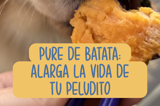 Receta Tagoomie: Pure de batata (alarga la vida de tu peludo)