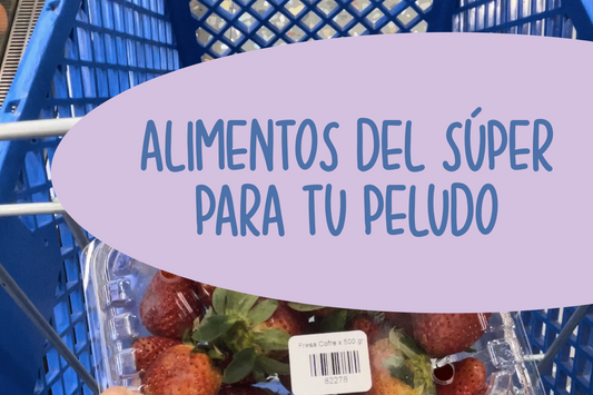 Alimentos del super para tu peludo