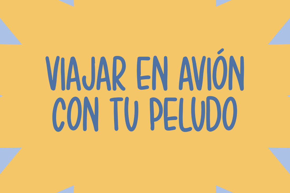 Viajar en el avión con tu peludo